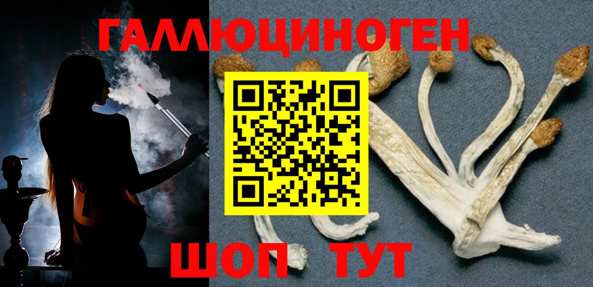 Галлюциногенные грибы мухоморы Гулькевичи
