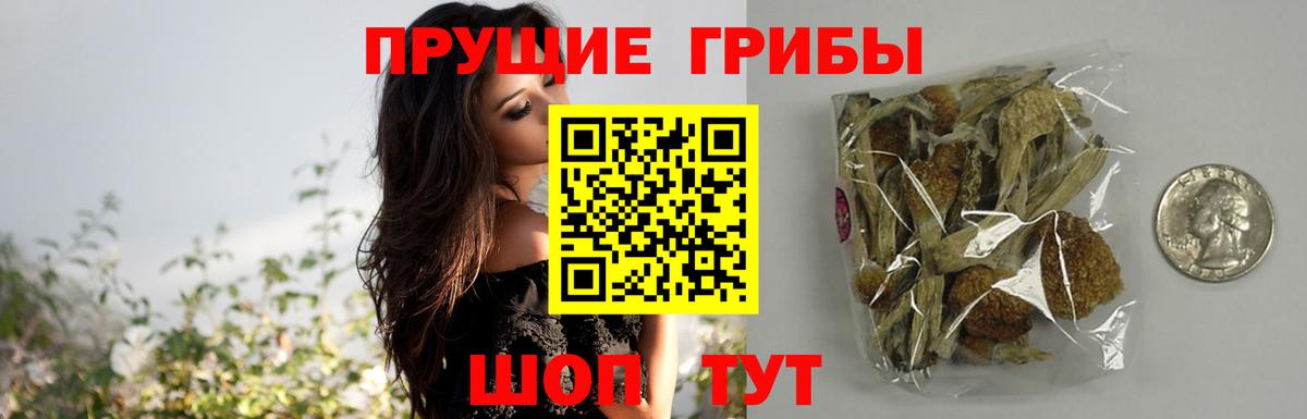 Галлюциногенные грибы Cubensis  Галлюциногенные грибы GOLDEN TEACHER  Гулькевичи  Вход с VPN 