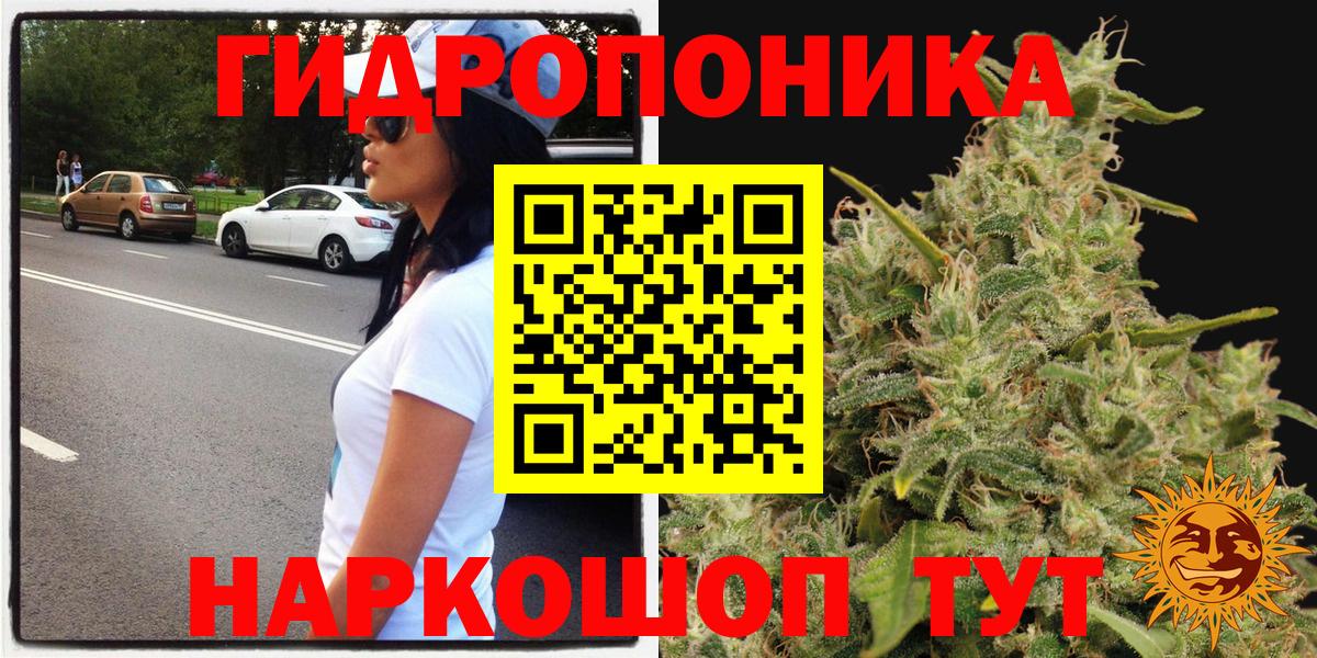 Шишки марихуана Ganja Гулькевичи